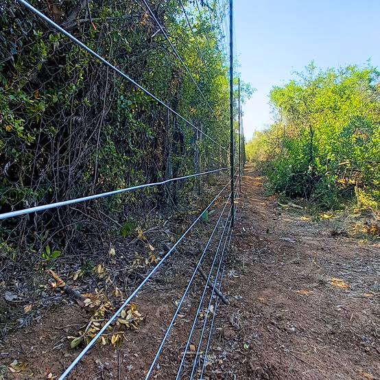 Electric fence line inspection and repair